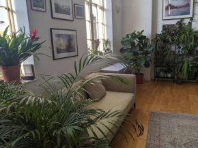 Spacious, historic school conversion